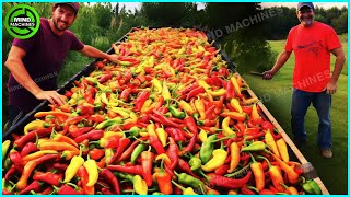 The Most Modern Agriculture Machines That Are At Another Level,How To Harvest Chilies In Farm▶6