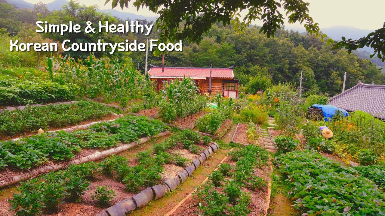 Простая и вкусная корейская деревенская еда, которую я ела целый год~!!