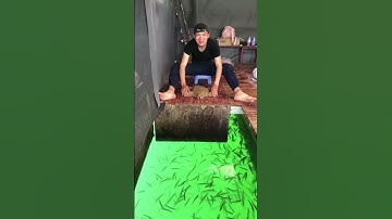 Xả mồi câu cá chép, câu bè, câu cá trắm đen săn hàng cá khủng🐟🐟 #1 #fishing #shorts