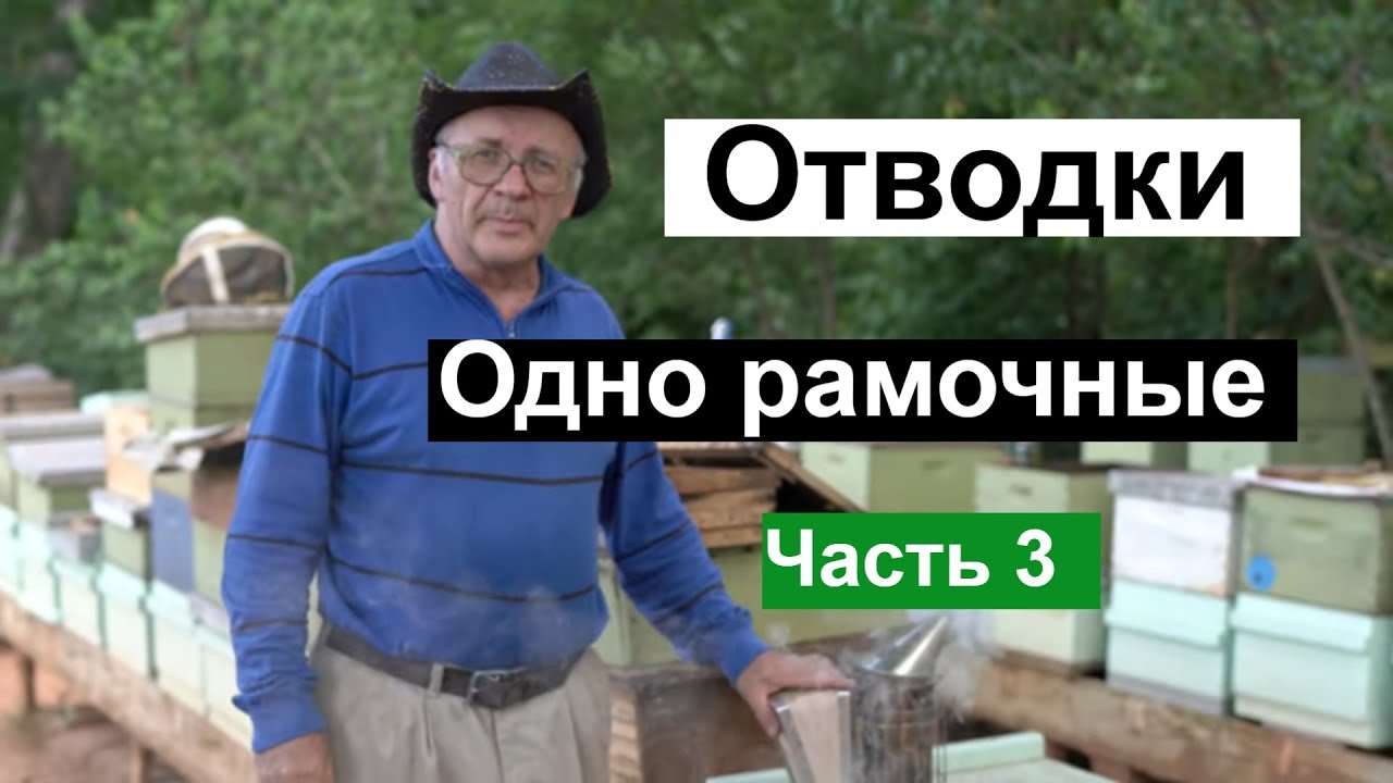 Пасека #121 Одно рамочные ОТВОДКИ , Матки,Маточники,Мёд и Пчелы / Пчеловодство для начинающих