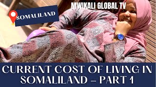 A close look at the current COST OF LIVING in Somaliland | Part One | Hargeisa
