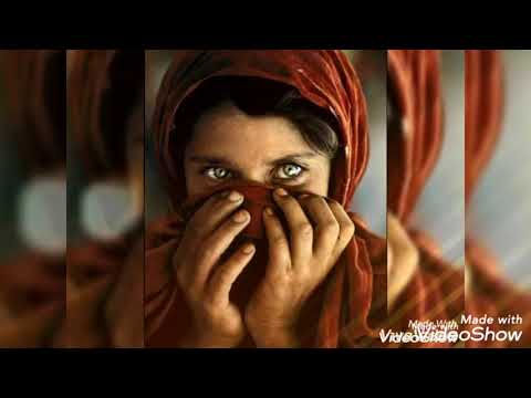 نظرة للأديب المصري يوسف إدريس