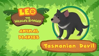 Tasmanian Devil | Grrr! Grumpy and Aggressive | Leo the Wildlife Ranger | Fun Animals Facts For Kids