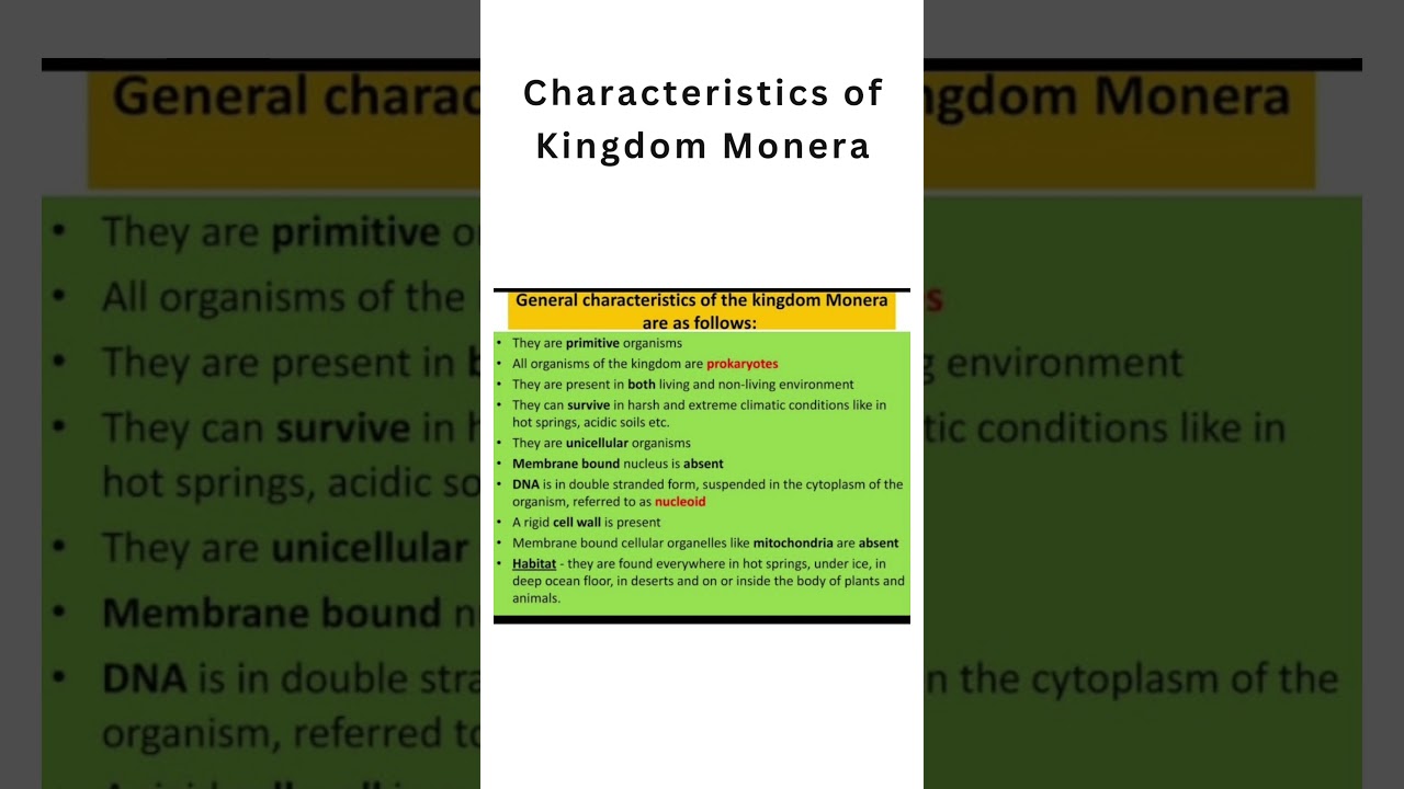Characteristics of kingdom Monera - YouTube