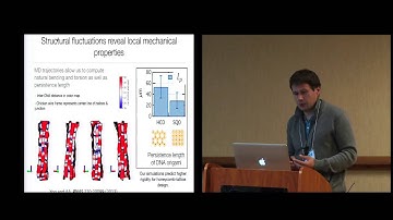 Molecular Dynamics of DNA Origami