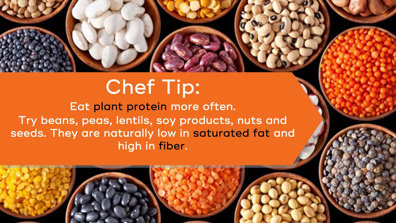 Plant proteins - YouTube