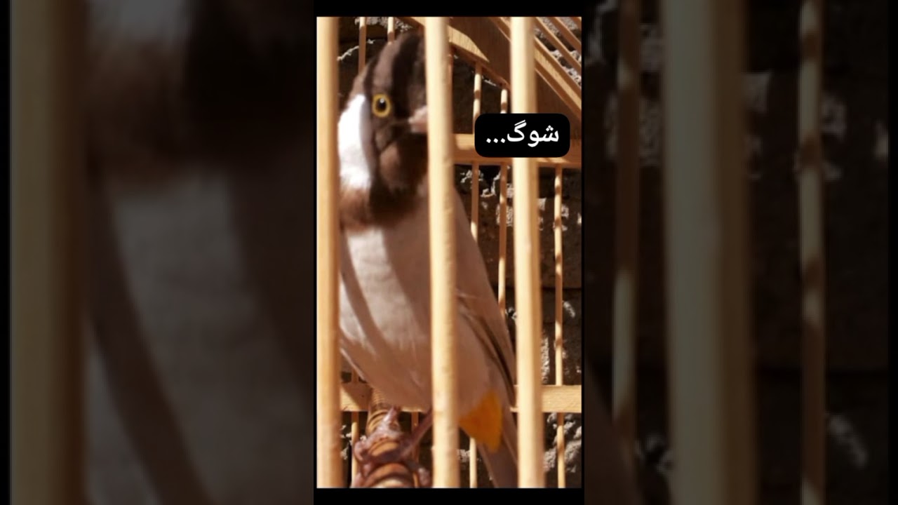 ١٤ سبتمبر ٢٠٢٥