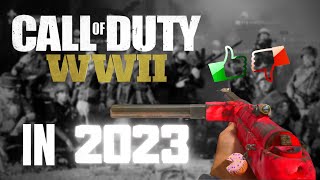 COD WWII in 2023..