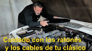 Más mejoras en el Mercedes W116