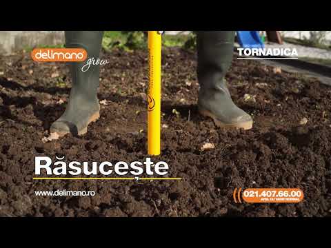 Video: Cultivatoare (63 Fotografii): Alegeți Un Cultivator De Grădină De 4 Metri și O Lopată De Cultivator Mediu. Cum Se Folosește KNK-4 De Dimensiuni Mari împotriva Buruienilor, KPK-8 și