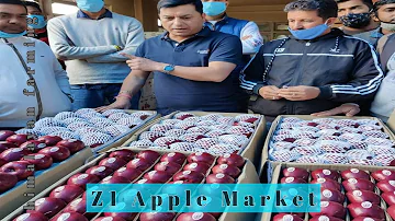 Zad One Apple Market | Fan Zed One Apple |Latest Apple Variety Fan Z1 | Himalayan Farming | Z1 Apple