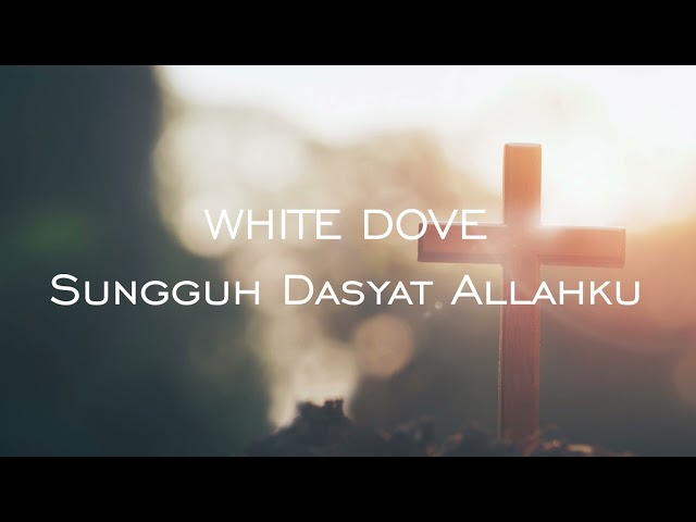 White dove - Sungguh Dahsyat Allahku