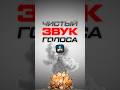 Как сделать чистый звук голоса в Davinci Resolve