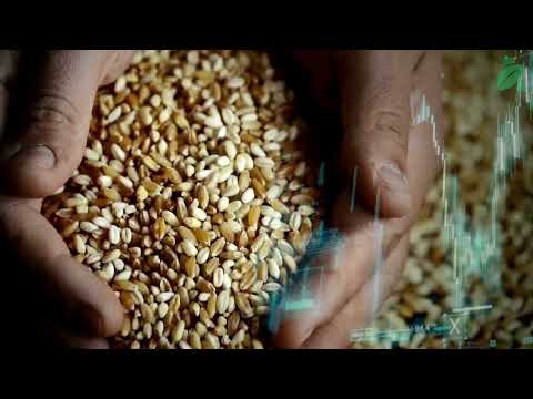 SmartAgro: Agregando valor al agro con información inteligente - video from SmartAgro