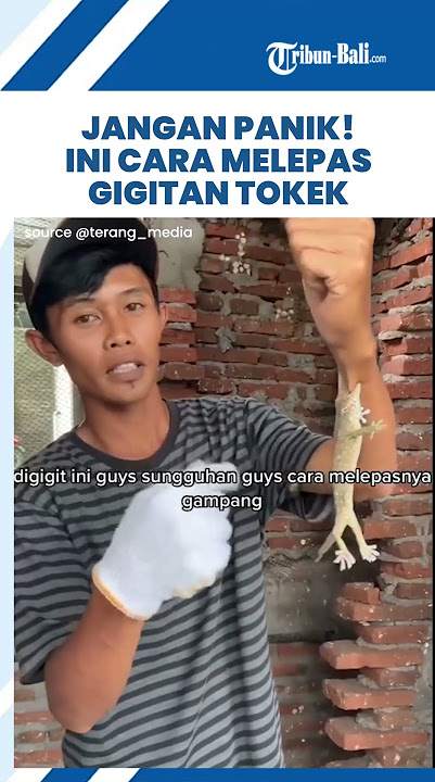 Cara Melepas Gigitan Tokek #shorts