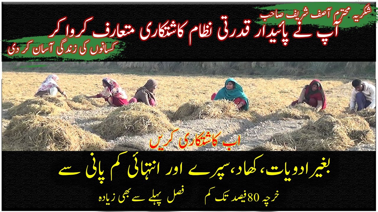 Organic agriculture farm| Agricultur on PQNK|How to grow organic product|پائیدار قدرتی نظام کاشتکاری