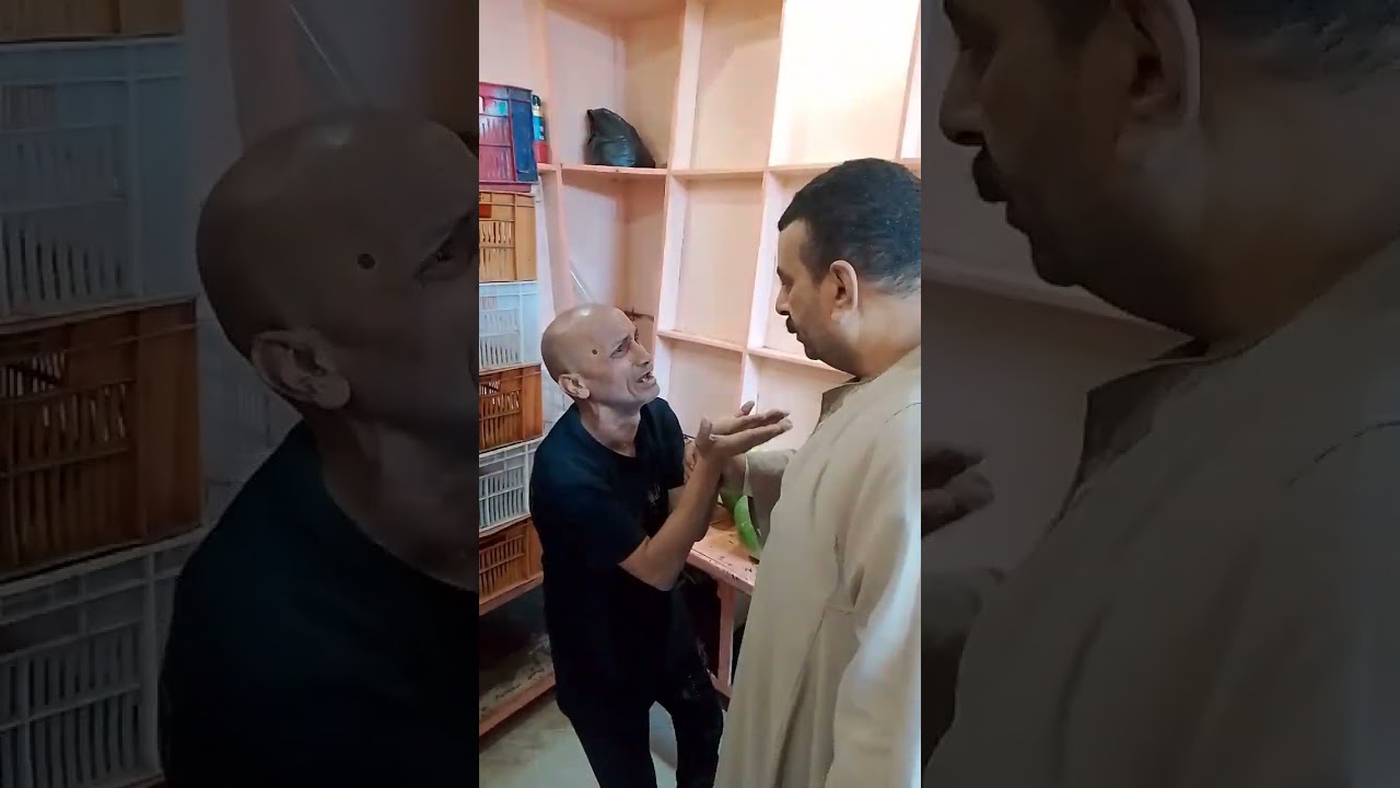 16 فبراير 2026