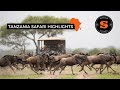 TANZANIA SAFARI HIGHLIGHTS TANZANIA SAFARI HIGHLIGHTS