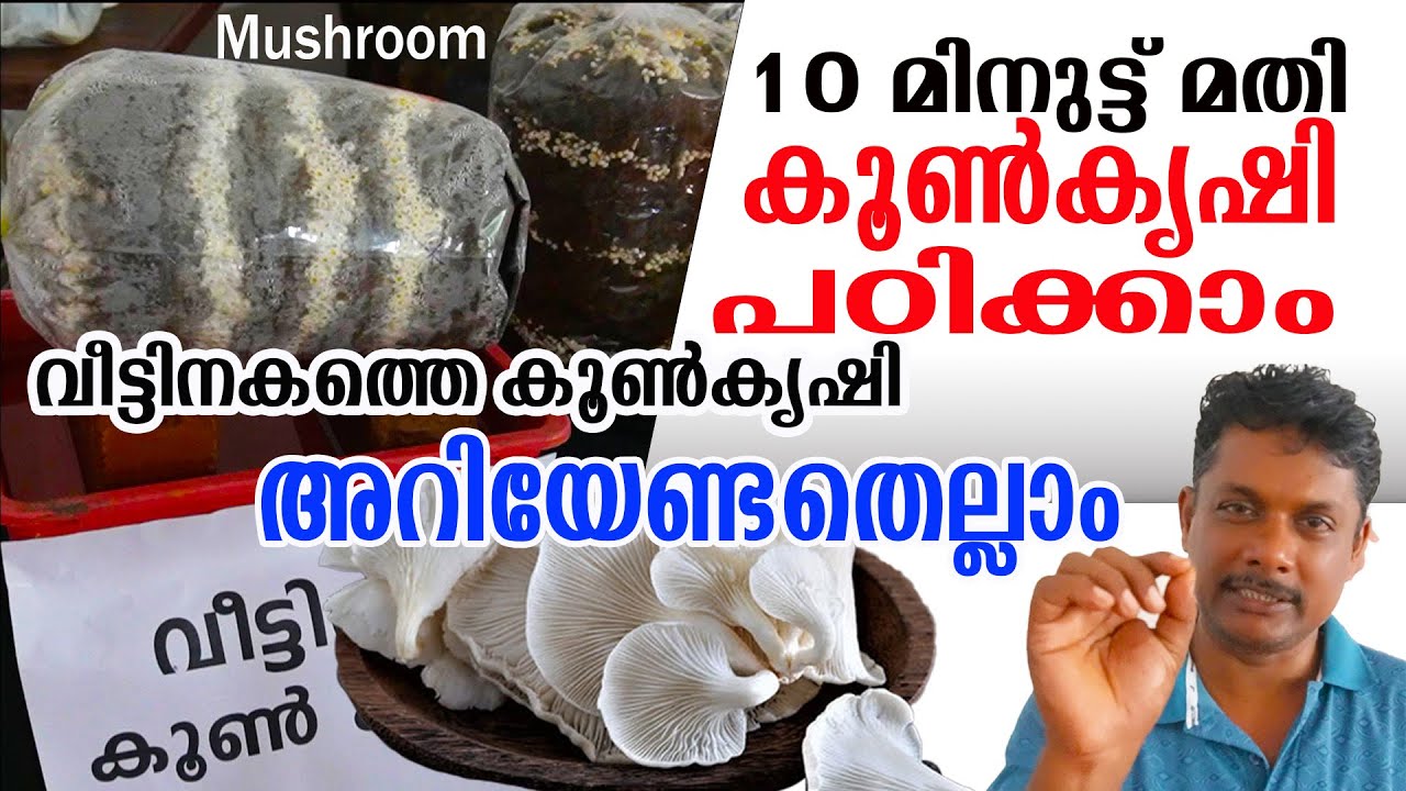 കൂൺ കൃഷി ഇത്രയെളുപ്പമോ