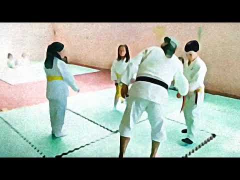 Aikido escolas Dojo da Luz-Aikido Lisboa