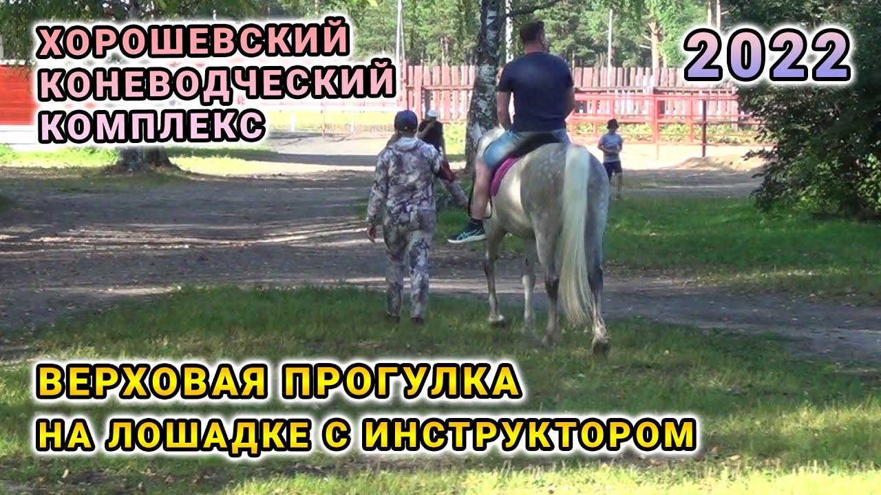 Верховая прогулка на лошадке с инструктором - Хорошевский коневодческий ...