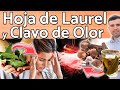 Hoja De Laurel Y Clavo De Olor Pueden Salvarte - Para Qué Sirve? - Beneficios Para Tu Salud Y Bellez