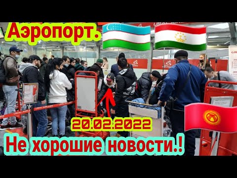 Video: Hayot mulkining namunasi nima?