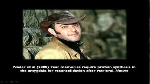 TEDxUCL - Ravi Das - Remembering to Forget: Rewriting Broken Memories to Treat Addiction