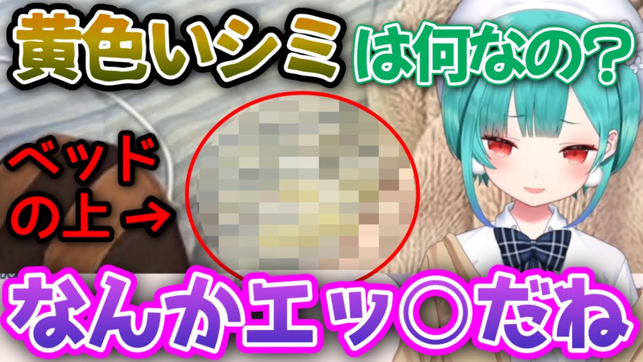 リスナーの部屋訪問で、エッ○なシミを見つけてしまうるしあ【潤羽るしあ/ホロライブ/切り抜き】