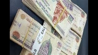 مشروع ناجح تكلفتة10 الالاف وارباحه 2500 جنية