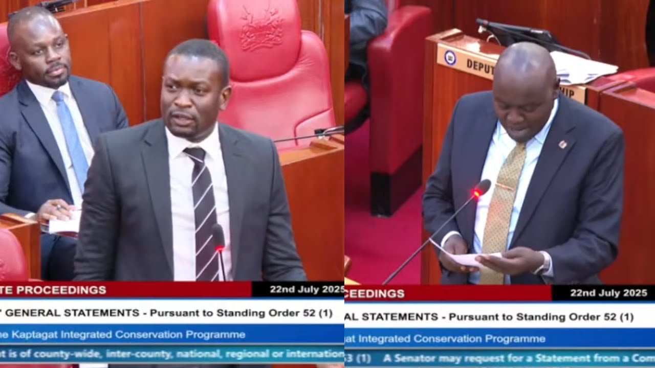 «ЧУШЬ!» ДРАМА: РАЗГНЕВАННЫЙ СЕНАТОР СИФУНА ЧИТАЕТ НОТАЦИИ СЕНАТОРУ ЧЕРАРГЕИ ПОСЛЕ ВЫСТУПЛЕНИЙ О «...