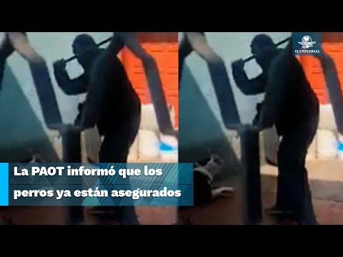 Exhiben a sujeto golpeando a su perro con una manguera