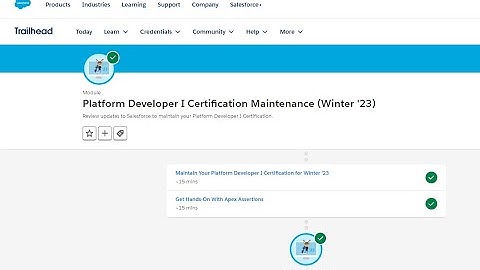 Platform Developer I Certification Maintenance (Winter 