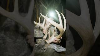 164” BAMA GIANT hits the DIRT on tomorrow’s video. YA WON’t WANNA MISS IT!! 🔥🦌 #monsterbucks Content