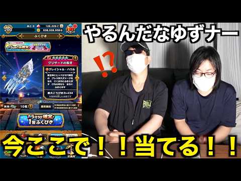WEBストア武器確定ガチャを二人で回した結果・・・【ドラクエウォーク】【ドラゴンクエストウォーク】