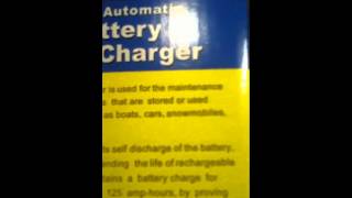 12 Volt Automatic Battery Float Charger