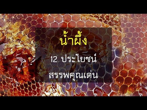 วีดีโอ: สรรพคุณทางยาของน้ำผึ้งขึ้นอยู่กับที่มาของน้ำผึ้ง