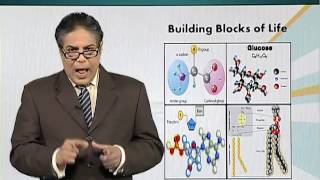 Topic 3 (BIO201 - Cell Biology)