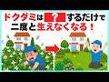【雑草駆除】薬剤を使わず簡単にドクダミを再び生えなくする方法