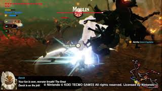 Hyrule Warriors - Flurry Rush