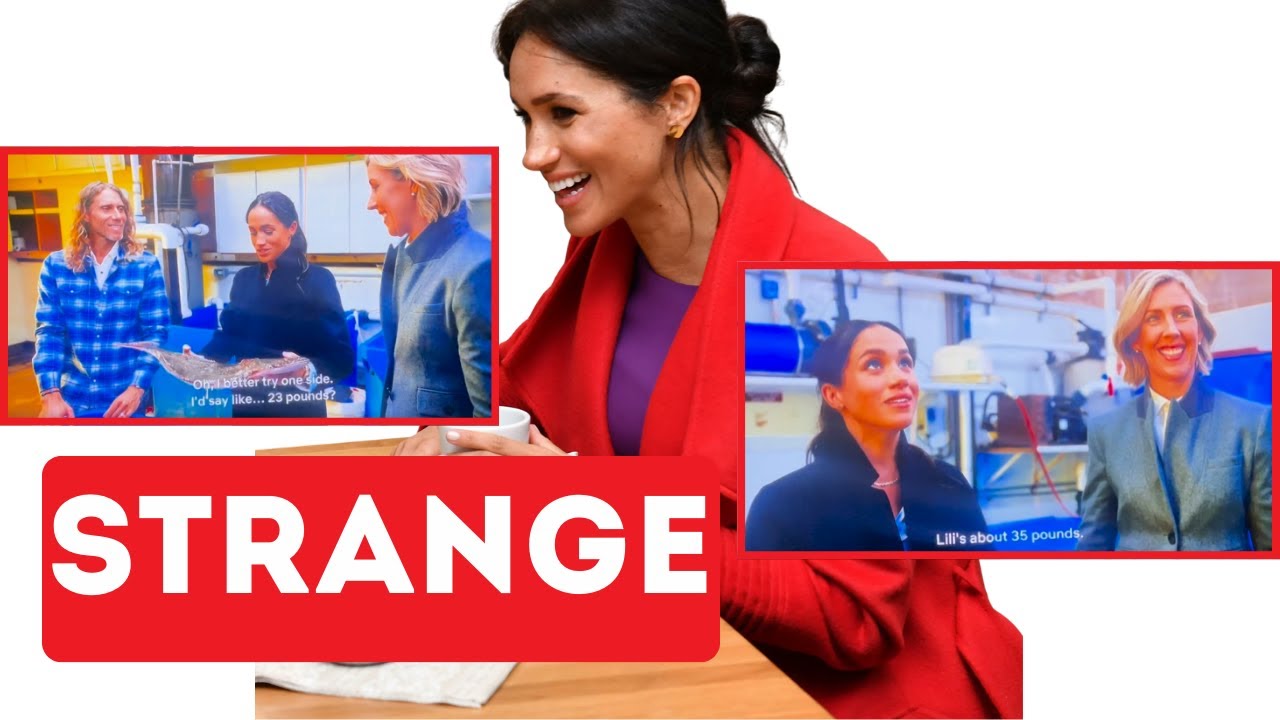 Meghan Markle SPARKS OUTRAGE After Comparing 8-Pound Fish to 4-Year-Old ...