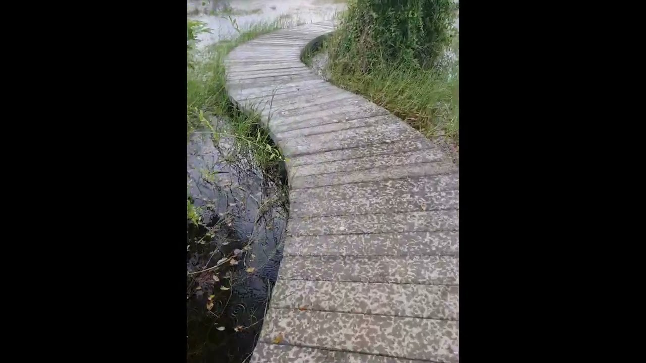 Trip to Mannar Island 🏝