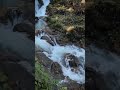 Catarata gotomono   aucayacu estado para whatsapp lugaresmagicos lugaresturisticos per