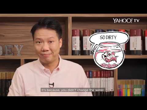 Video: How To Choose A Feng Shui Pet