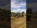 Trator Jhon Deere 5078e fazendo a silagem de milho #pecuarista #trator #agro