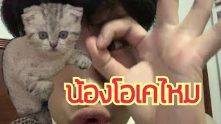 สรุปผลการตรวจ [LEAFANT PET EP.4]