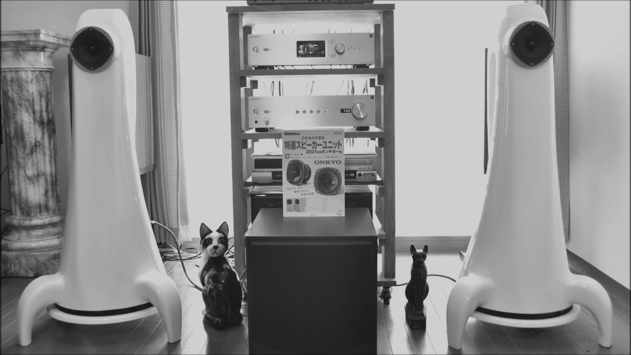 ONKYO 特撰スピーカーユニット OMーOF101(2本) ONKYO OM-OF101 【公式