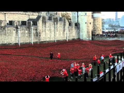 Remembrance Sunday 2014