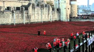 Remembrance Sunday 2014