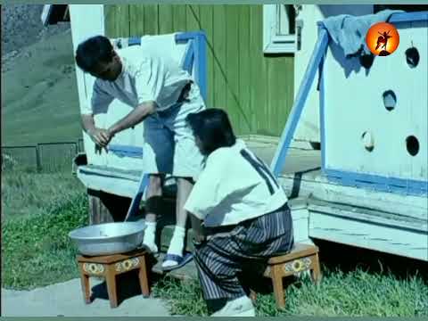 Танихгүй сэтгэл